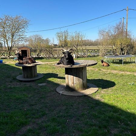 La Ferme Du Paradis Merris Екстер'єр фото